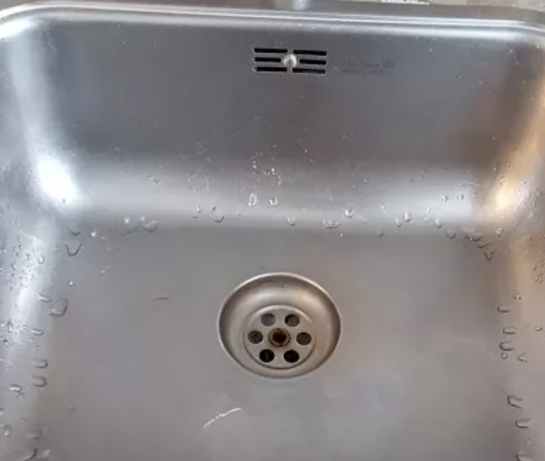 Zeefje voor korfplug Reginox 1162